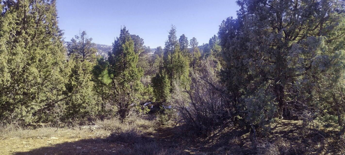 5.02 Acres W Francis ST, Duck Creek Village, photo 30 of 42