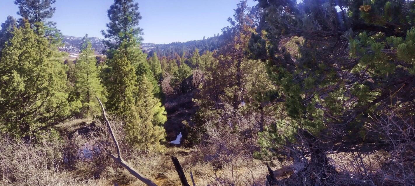 5.02 Acres W Francis ST, Duck Creek Village, photo 31 of 42