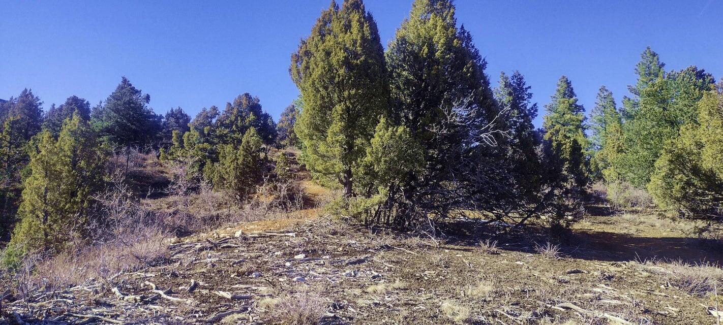 5.02 Acres W Francis ST, Duck Creek Village, photo 33 of 42
