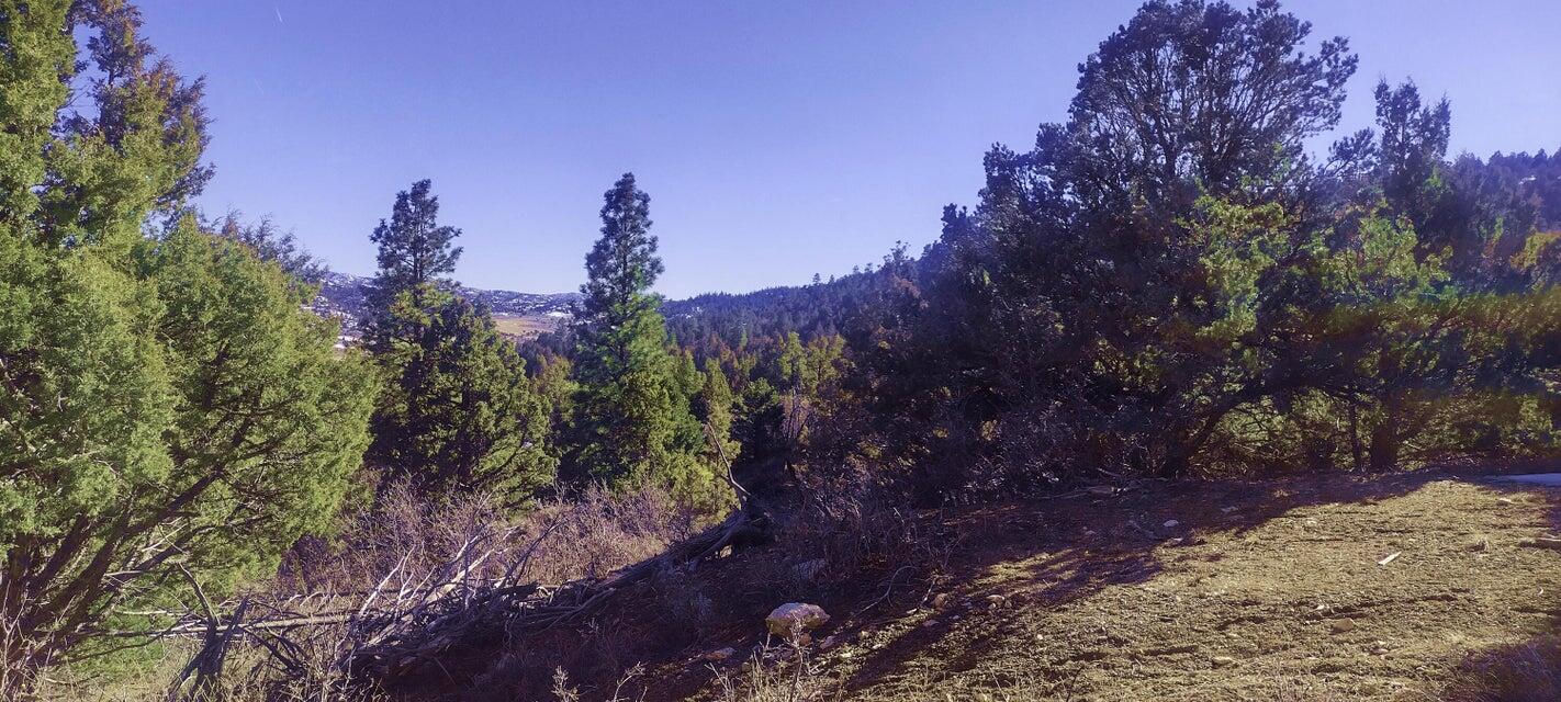 5.02 Acres W Francis ST, Duck Creek Village, photo 34 of 42
