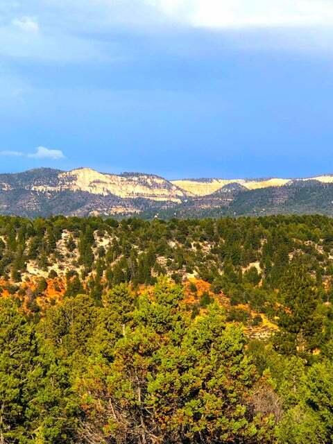 5.02 Acres W Francis ST, Duck Creek Village, photo 40 of 42