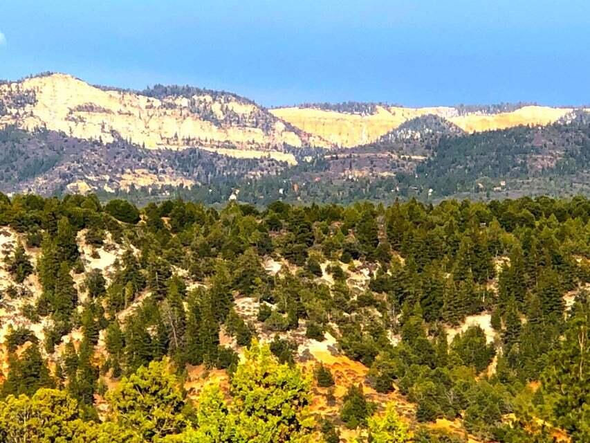 5.02 Acres W Francis ST, Duck Creek Village, photo 41 of 42