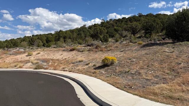 3503 W Sevy ST, Cedar City