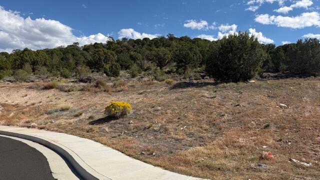3503 W Sevy ST, Cedar City, photo 2 of 9