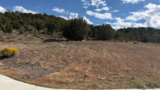 3503 W Sevy ST, Cedar City, photo 3