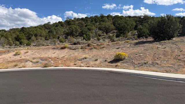 3503 W Sevy ST, Cedar City, photo 4 of 9