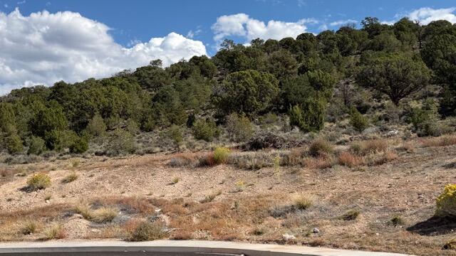 3503 W Sevy ST, Cedar City, photo 5 of 9