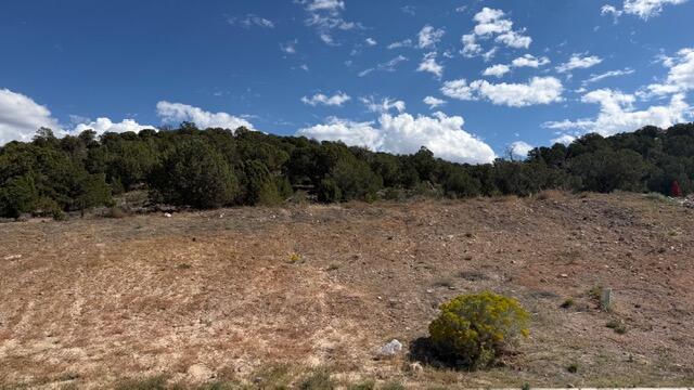 3503 W Sevy ST, Cedar City, photo 7 of 9