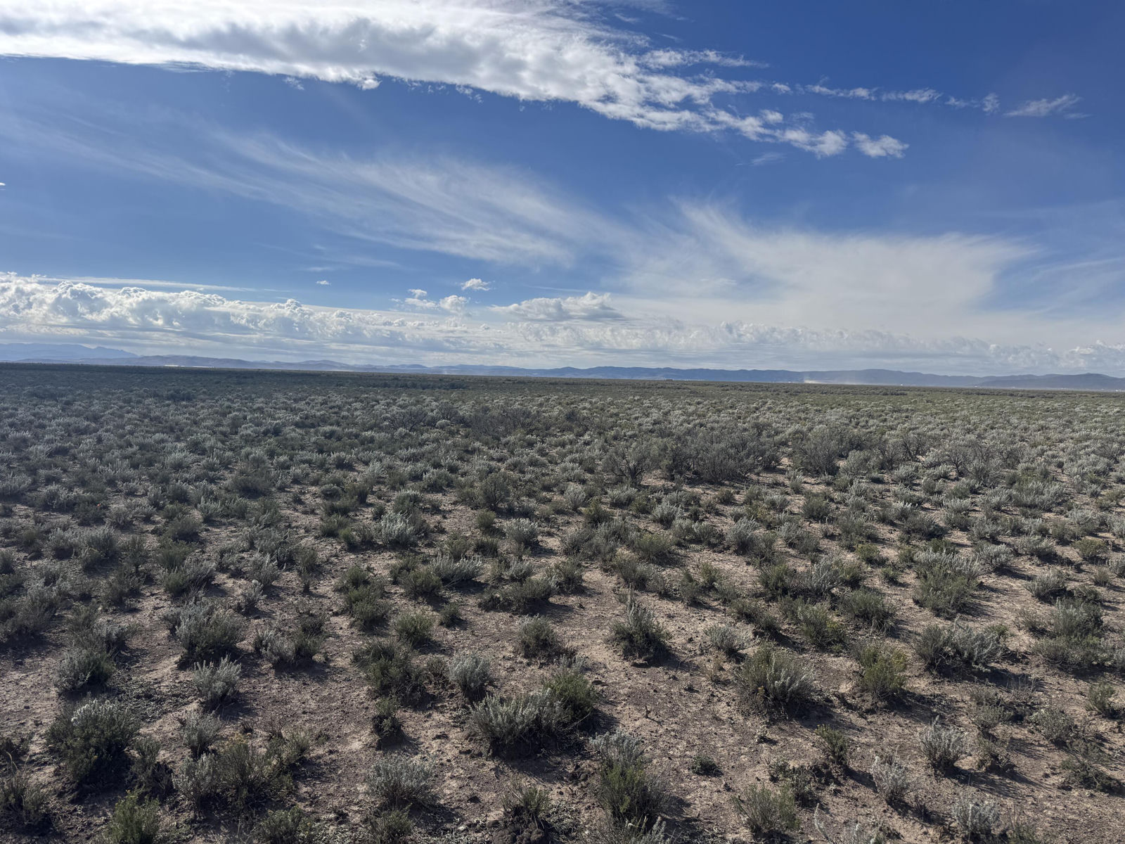 2.10 Acre (2 Lots), Beryl, photo 5 of 10