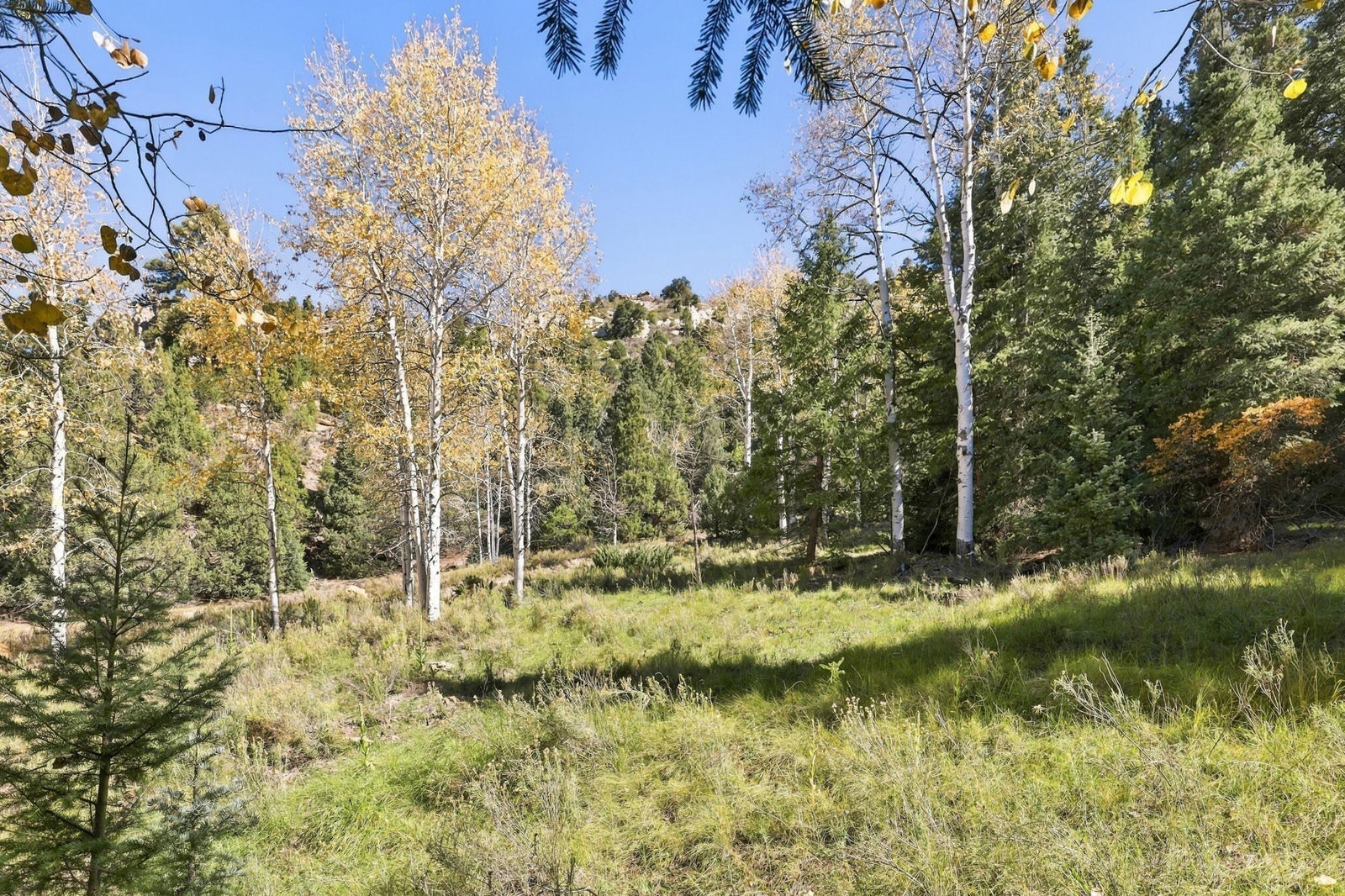 Cheyenne CIR, Alton, photo 1