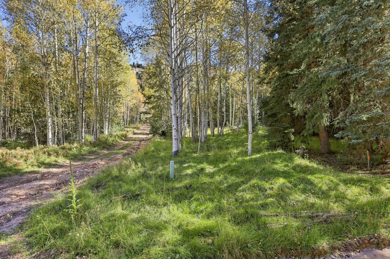 Cheyenne CIR, Alton, photo 16 of 41