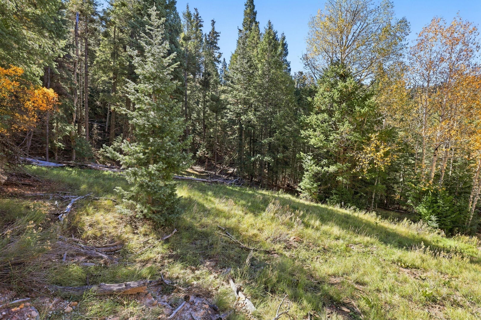 Cheyenne CIR, Alton, photo 19 of 41