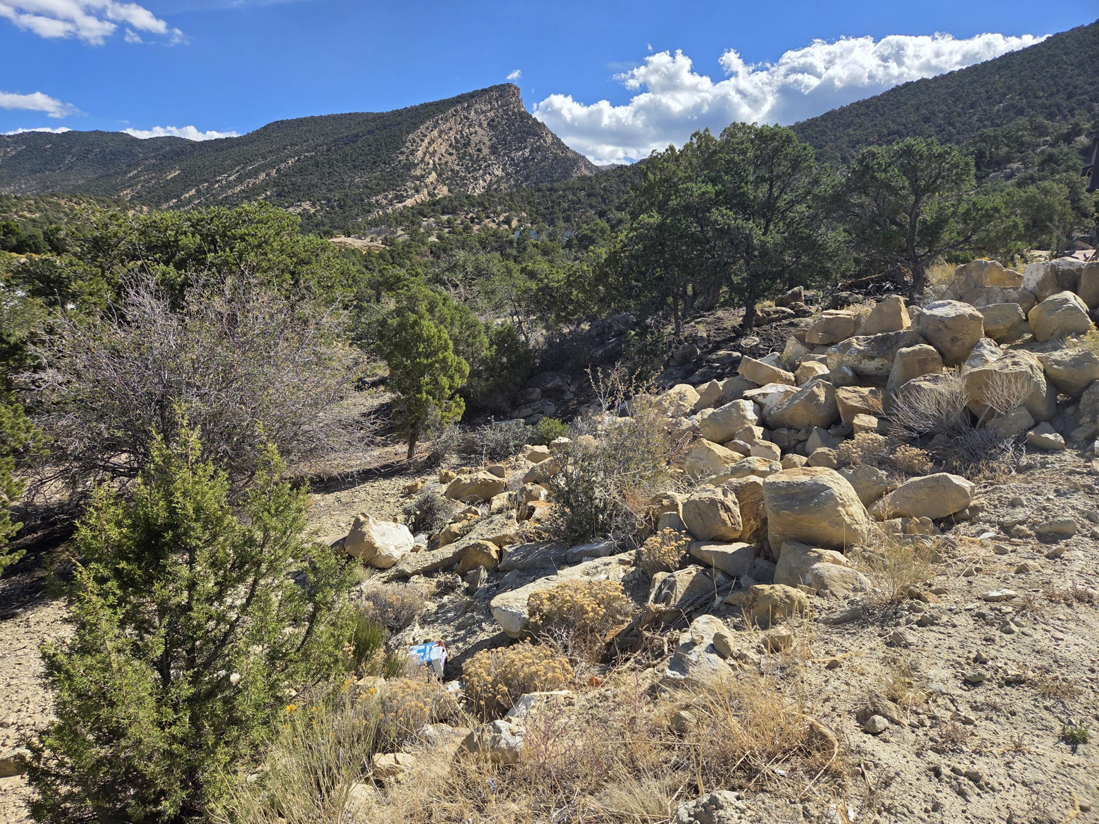 1981 N Mahogany CIR, Cedar City, photo 18 of 22