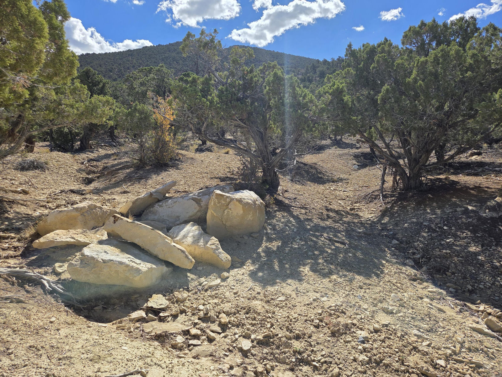 1981 N Mahogany CIR, Cedar City, photo 19 of 22