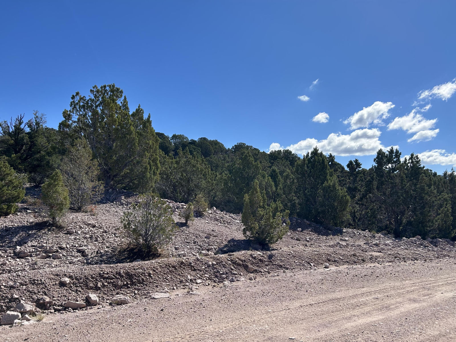 4321/4343 Arrowhead LN, Cedar City, photo 6 of 14
