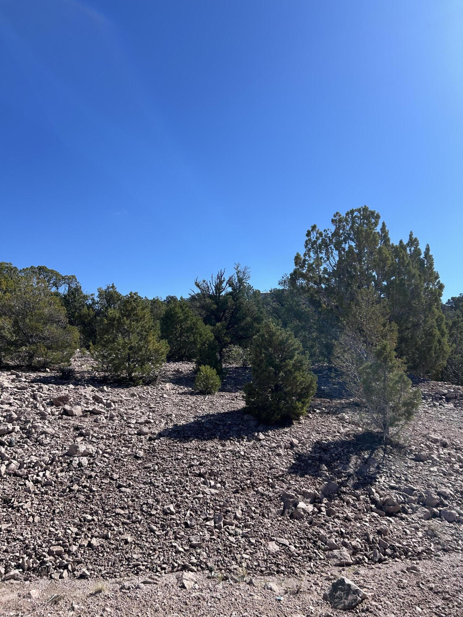 4321/4343 Arrowhead LN, Cedar City, photo 3 of 14
