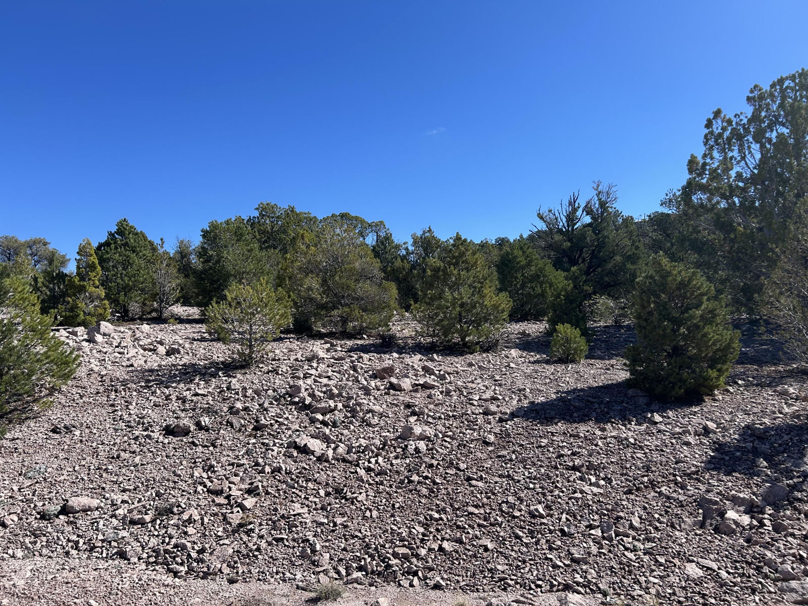 4321/4343 Arrowhead LN, Cedar City, photo 7 of 14