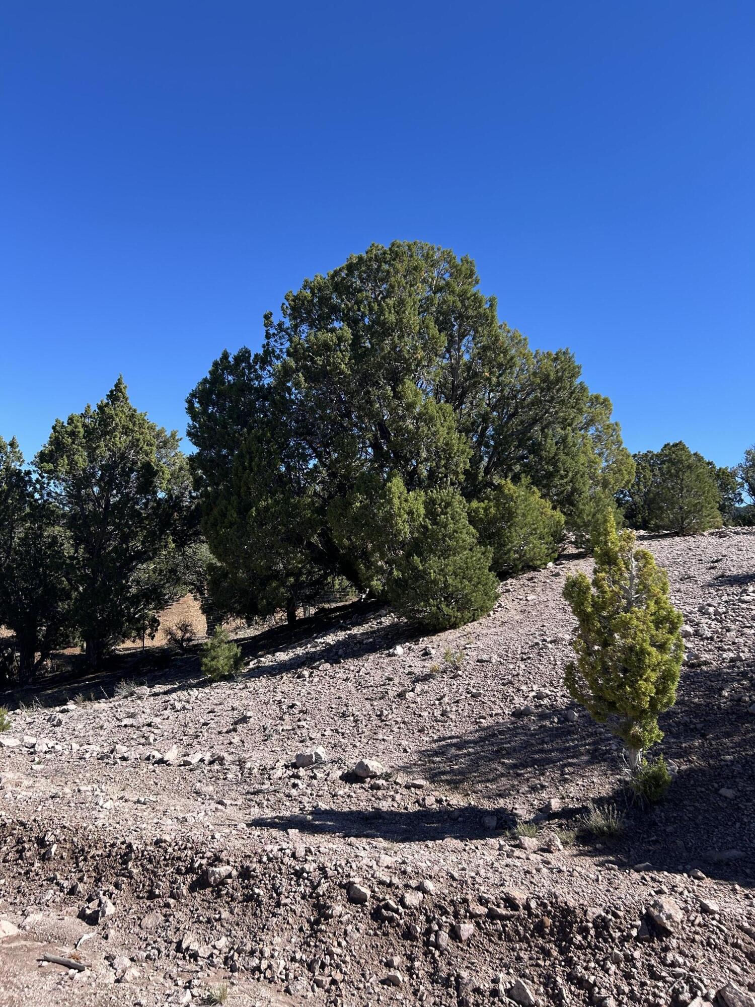 4321/4343 Arrowhead LN, Cedar City, photo 8 of 14