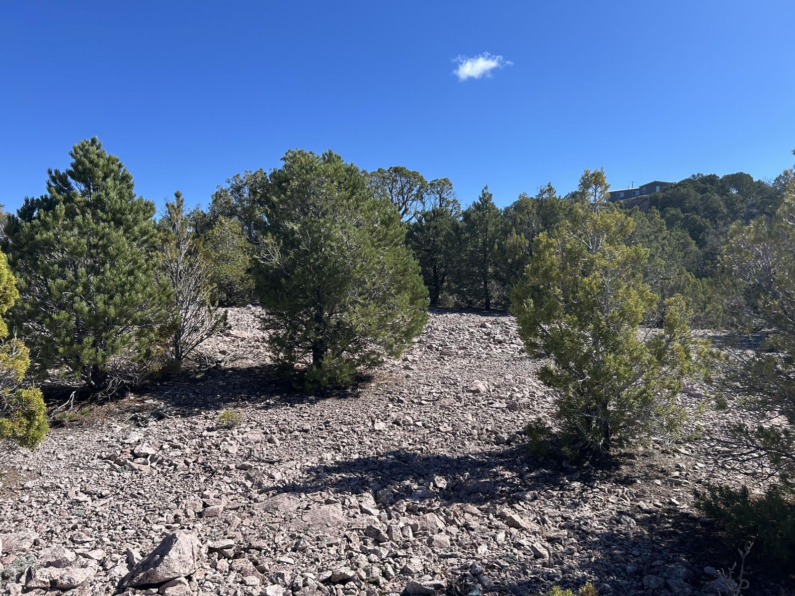 4321/4343 Arrowhead LN, Cedar City, photo 1