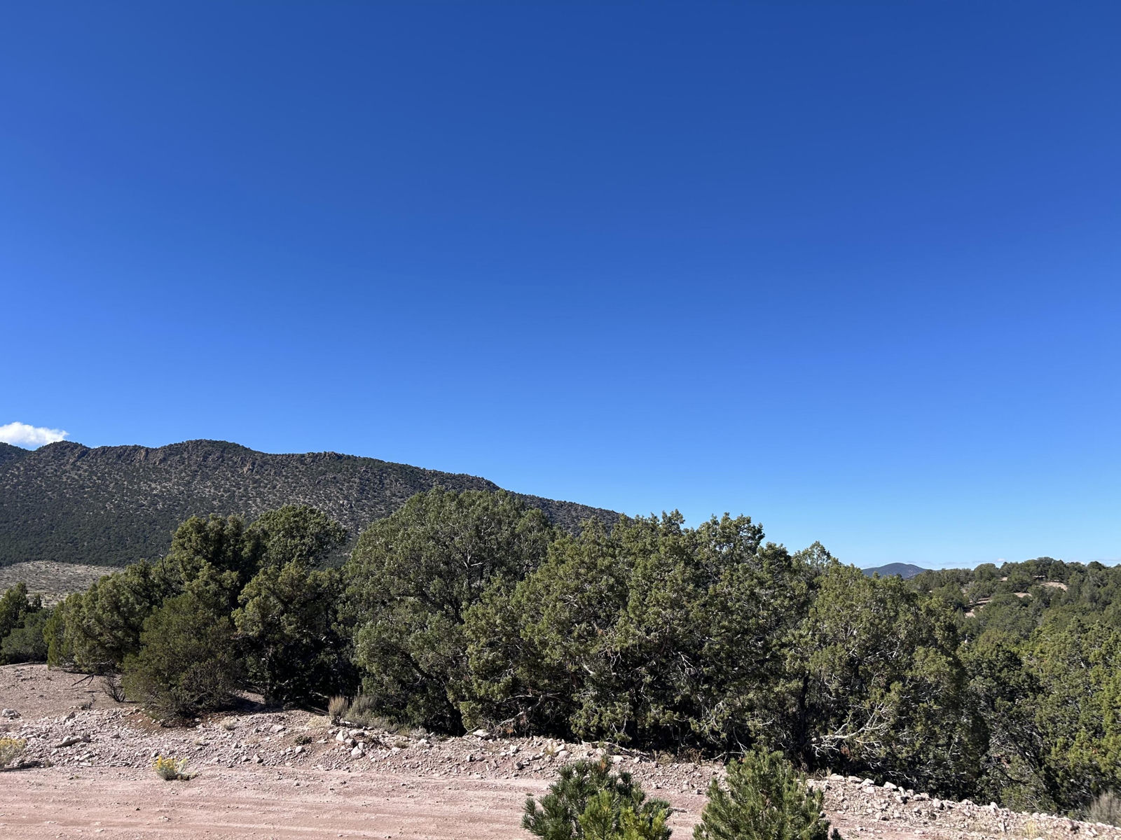 4321/4343 Arrowhead LN, Cedar City, photo 10 of 14