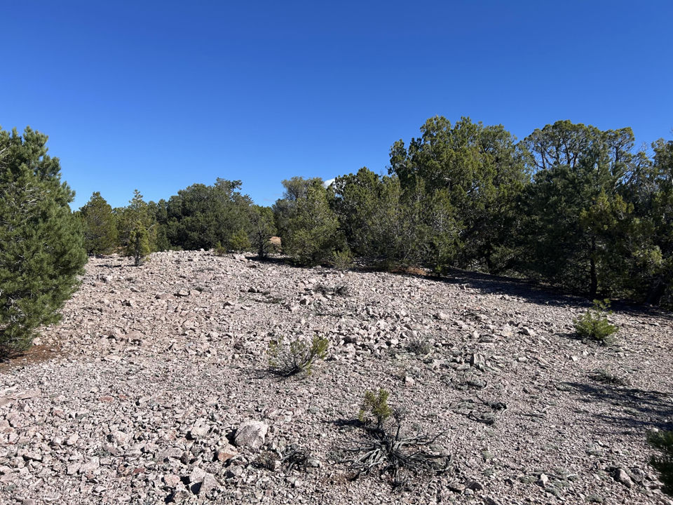 4321/4343 Arrowhead LN, Cedar City, photo 2