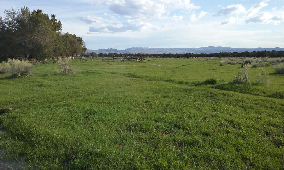 30 Acre Warby Lane NorthCreek, Beaver