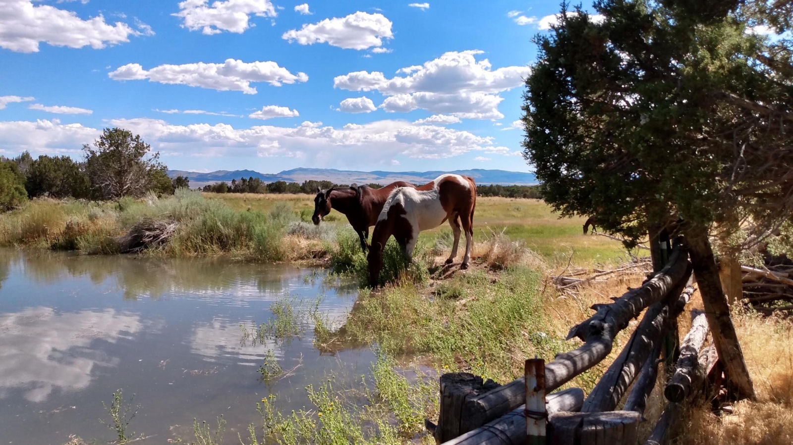30 Acre Warby Lane NorthCreek, Beaver, photo 3 of 15