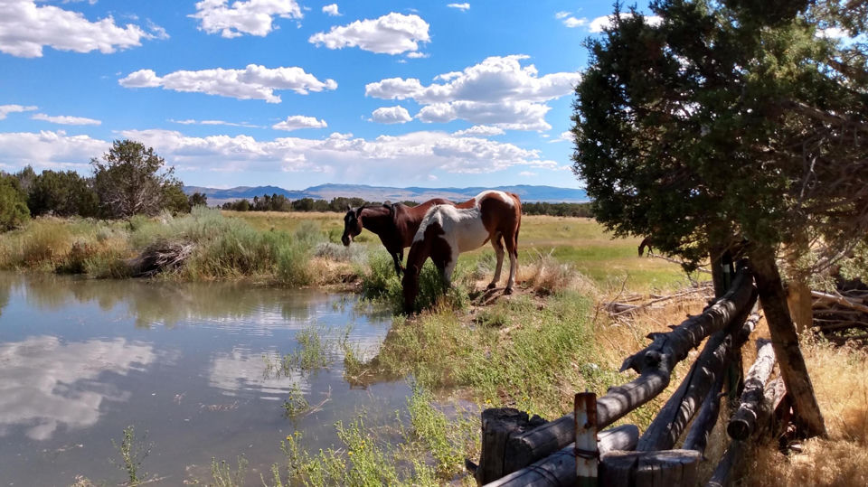 30 Acre Warby Lane NorthCreek, Beaver, photo 3