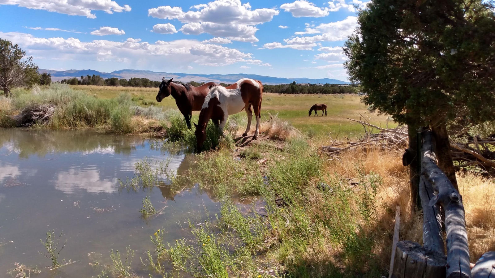 30 Acre Warby Lane NorthCreek, Beaver, photo 4 of 15