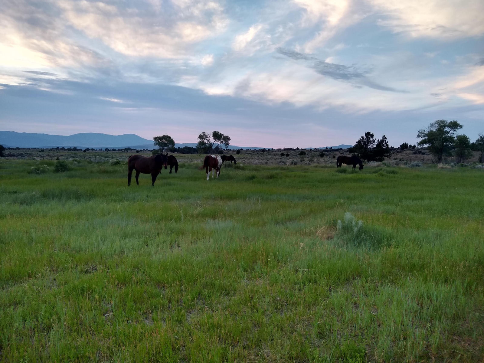 30 Acre Warby Lane NorthCreek, Beaver, photo 5 of 15
