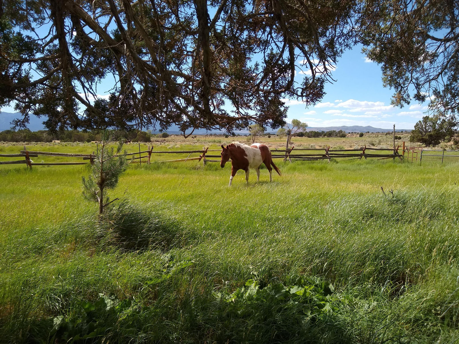30 Acre Warby Lane NorthCreek, Beaver, photo 7 of 15
