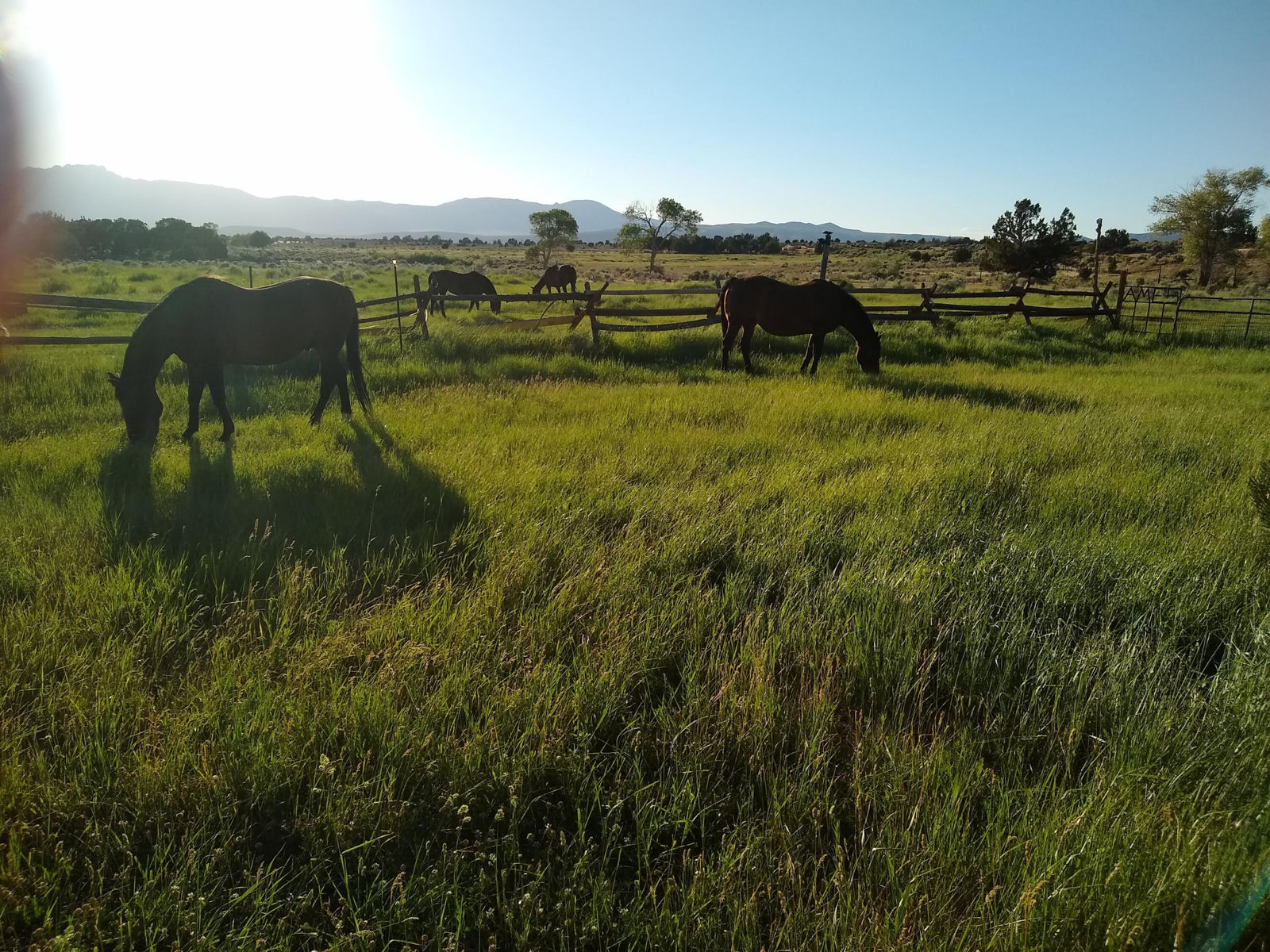 30 Acre Warby Lane NorthCreek, Beaver, photo 9 of 15