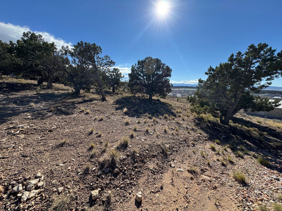 351 N Pachea Trail, Cedar City, photo 3