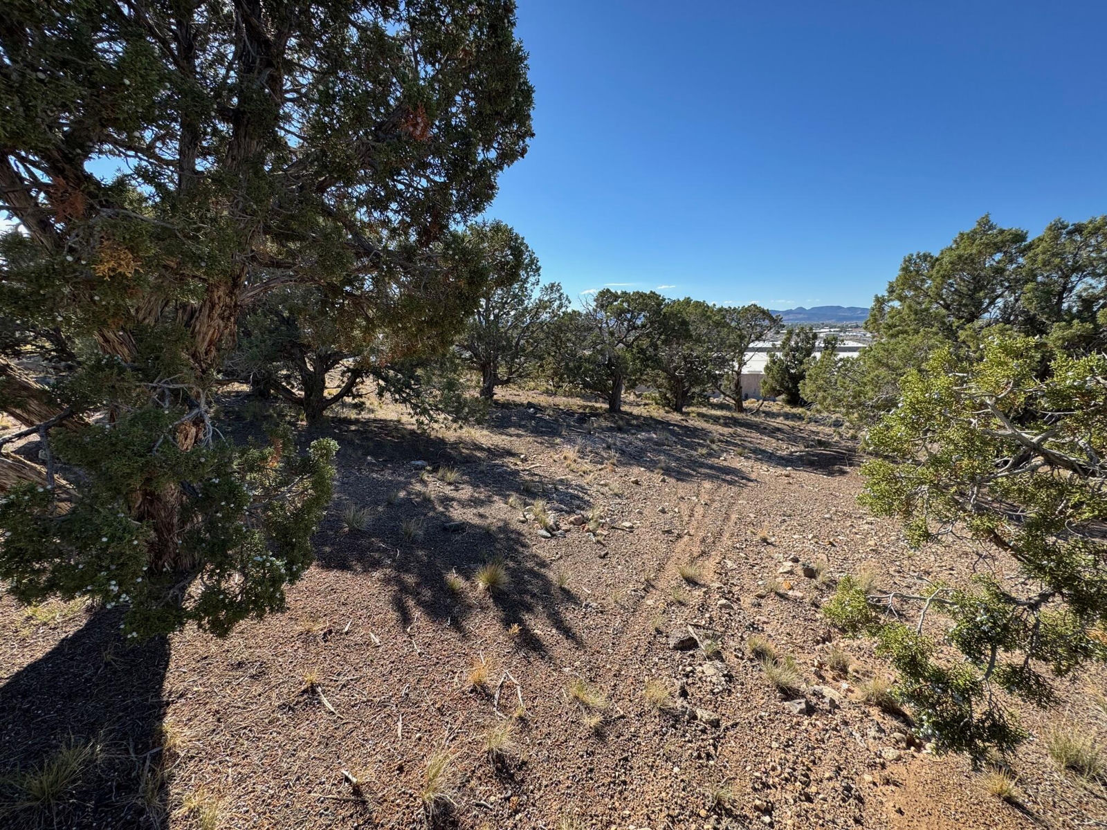 351 N Pachea Trail, Cedar City, photo 6 of 10