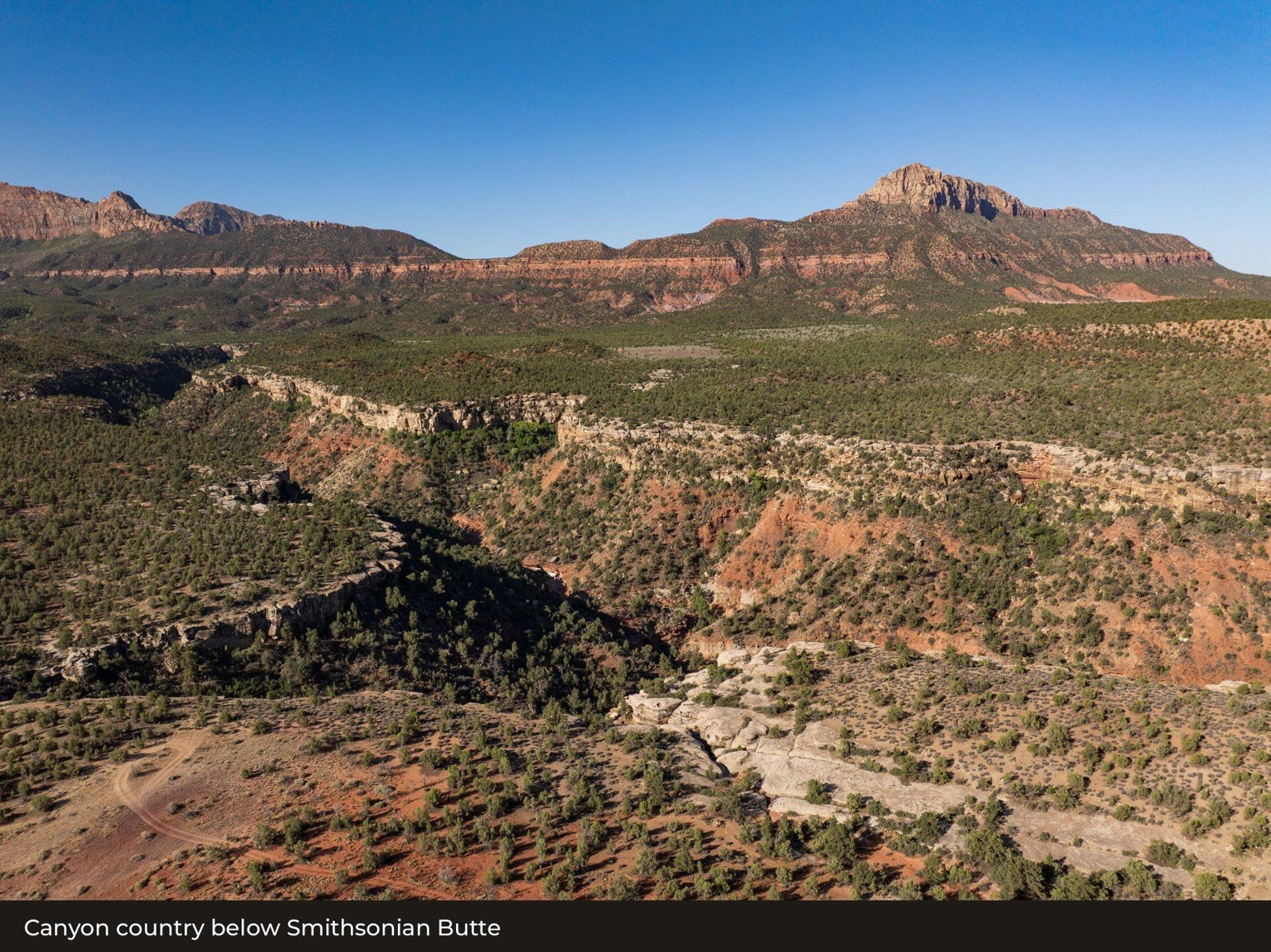 Rockville Mesa: Juniper Lot, Rockville, photo 14 of 15