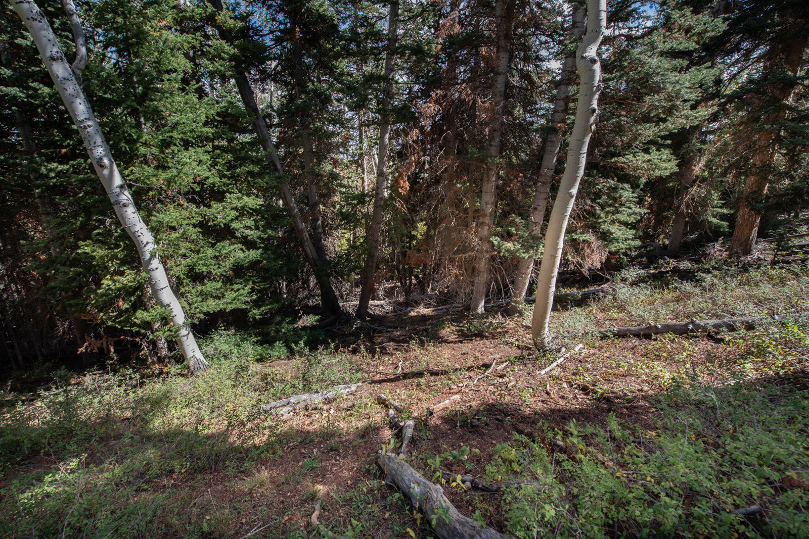 1416 N Aspen DR, Brian Head, photo 10 of 34