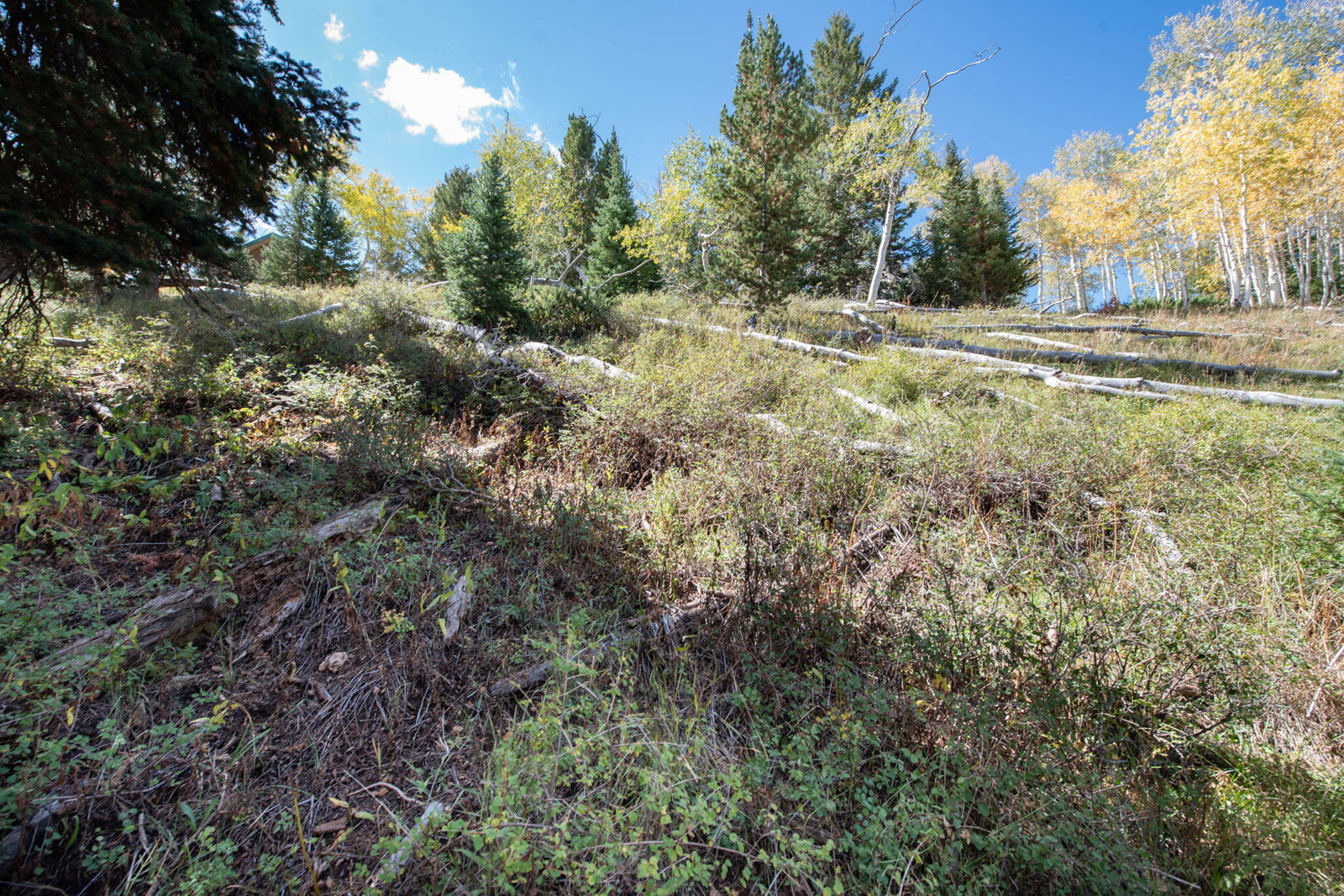 1416 N Aspen DR, Brian Head, photo 11 of 34
