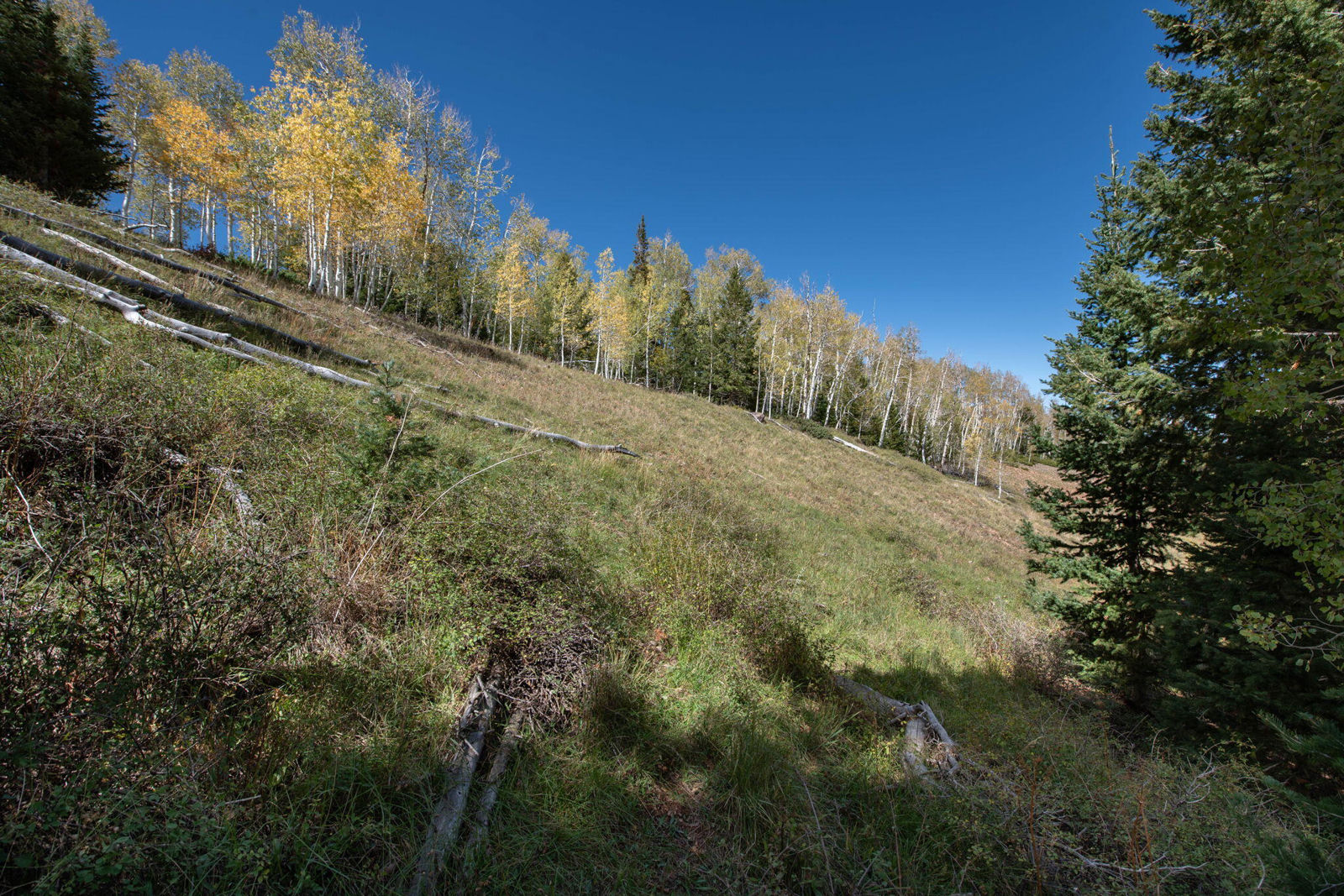 1416 N Aspen DR, Brian Head, photo 14 of 34