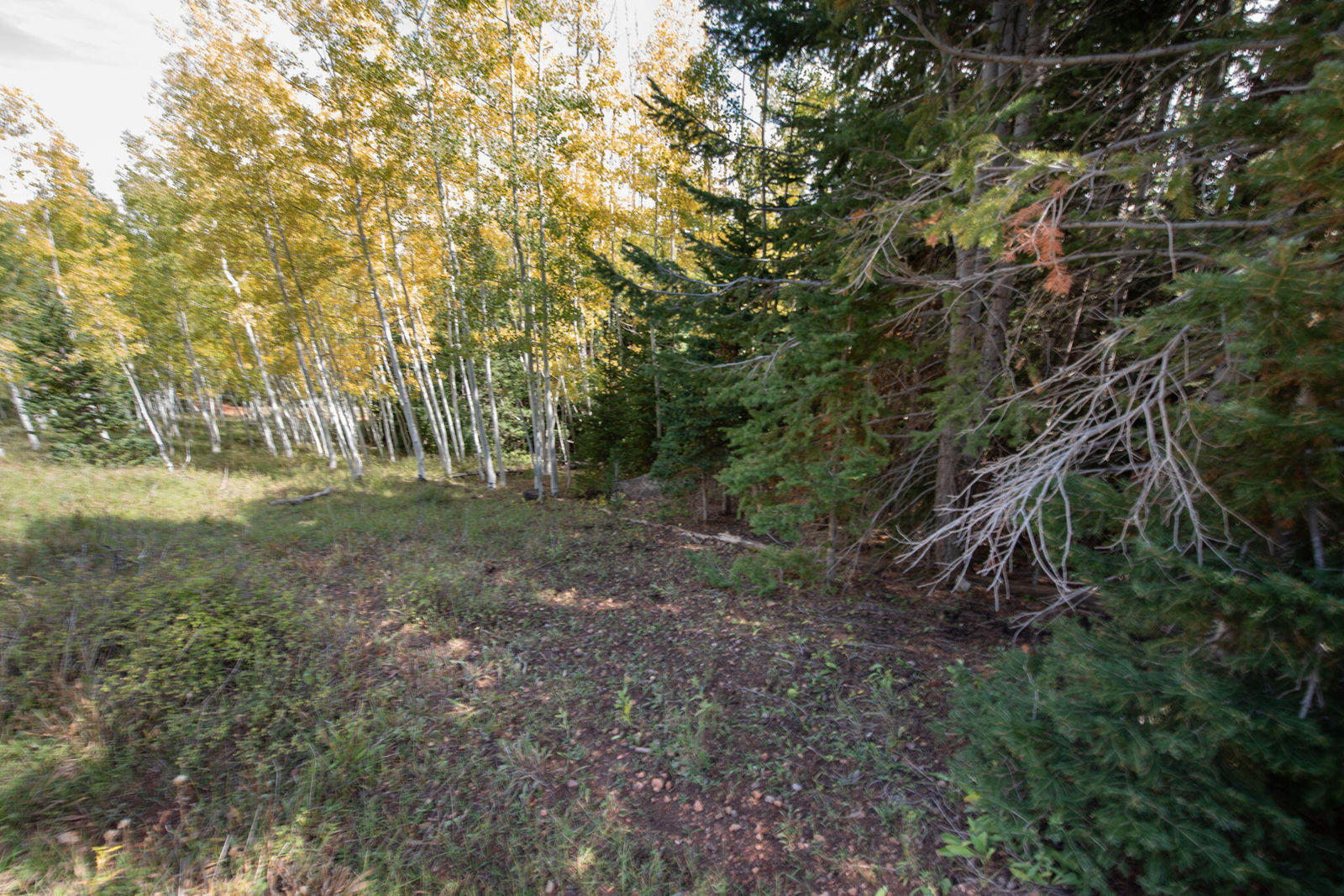 1416 N Aspen DR, Brian Head, photo 17 of 34
