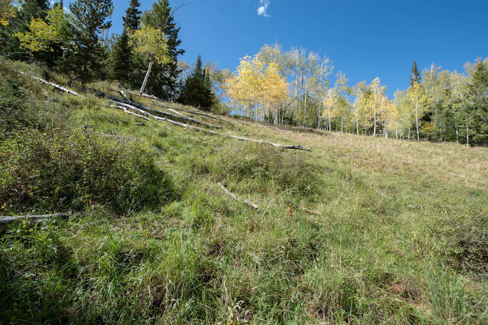 1416 N Aspen DR, Brian Head, photo 19 of 34