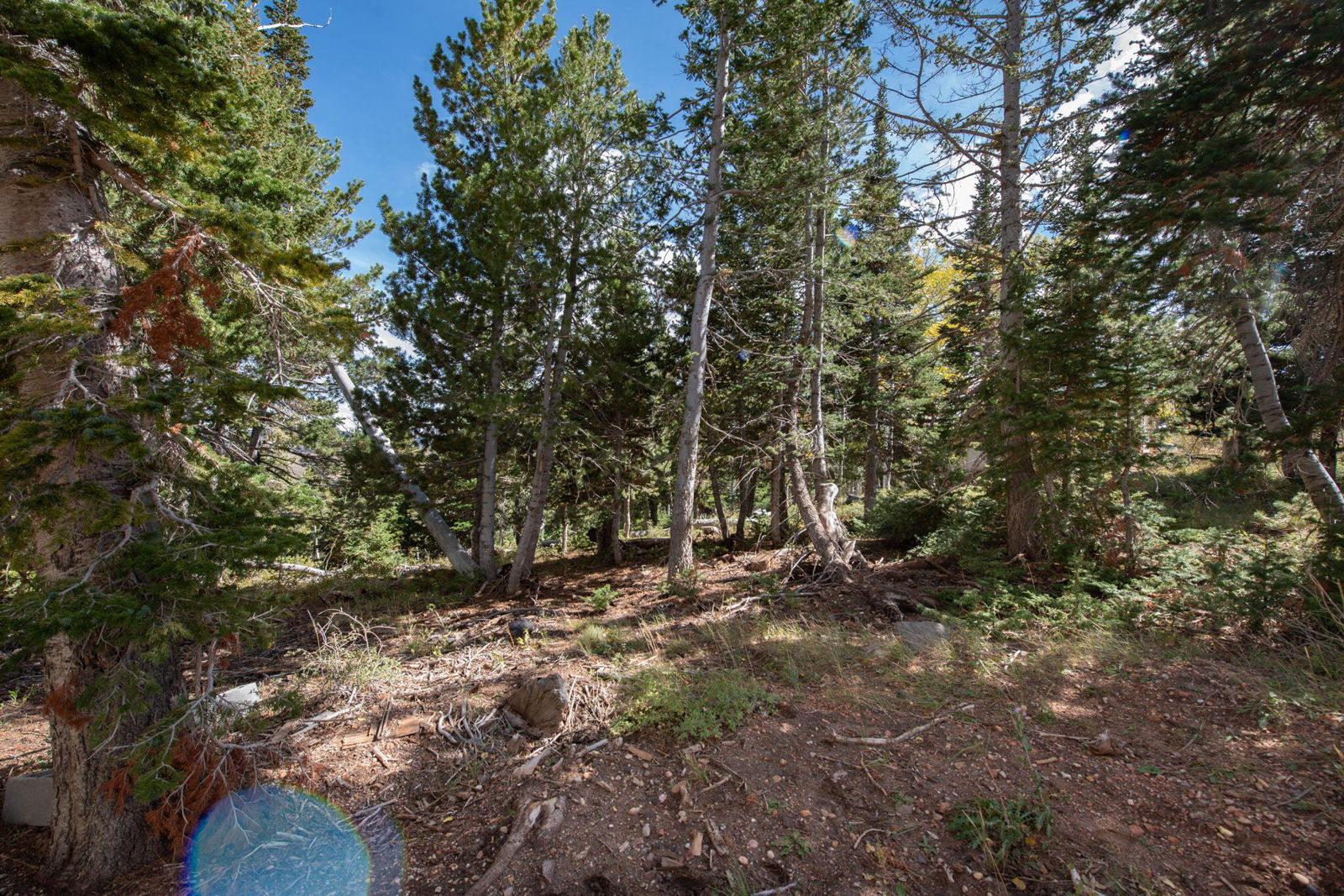 1416 N Aspen DR, Brian Head, photo 21 of 34