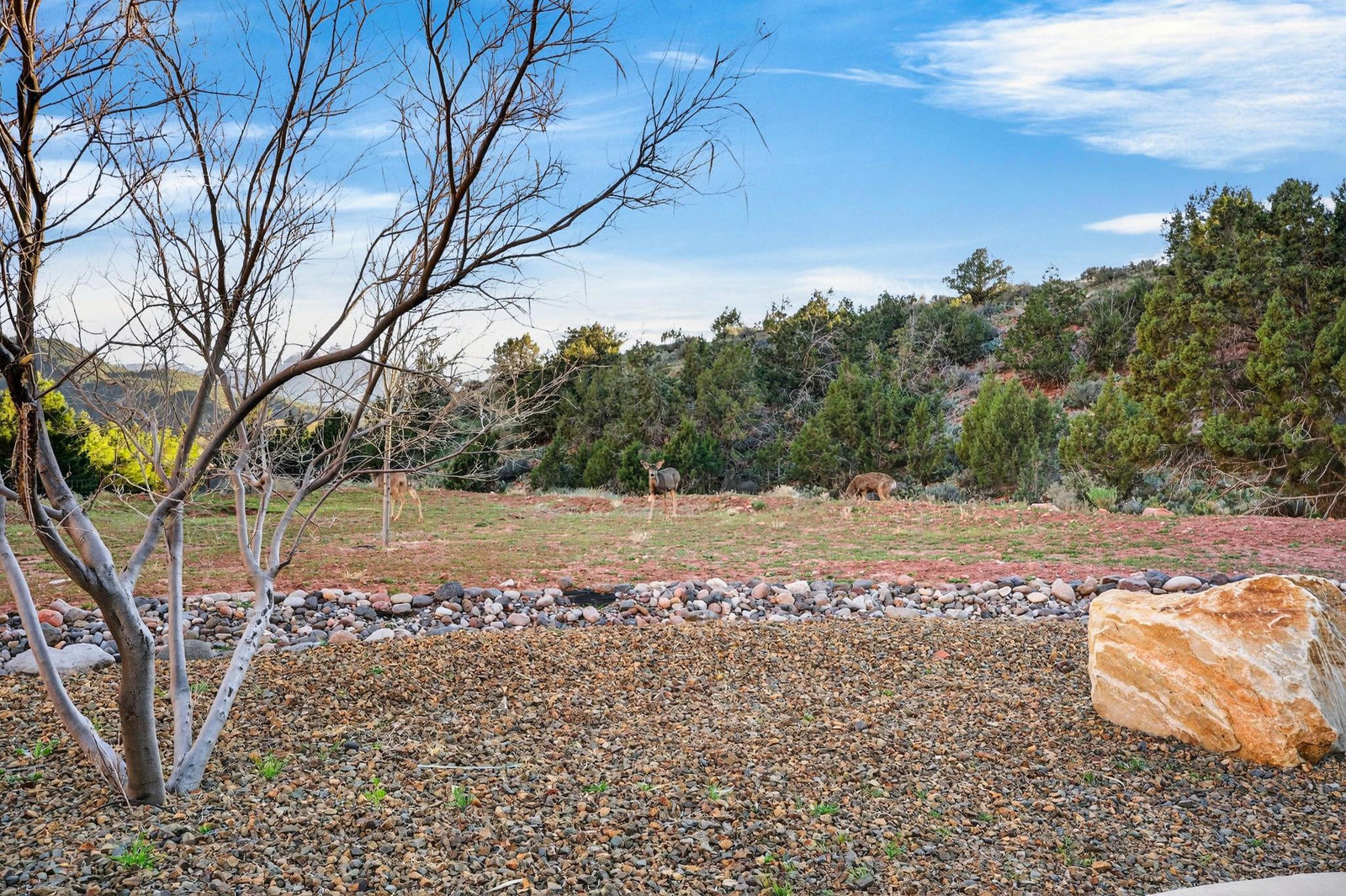 101 Trapper CIR, F, Springdale, photo 38 of 82