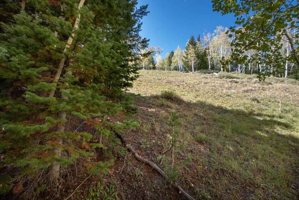 1430 N Aspen DR, Brian Head, photo 5 of 25
