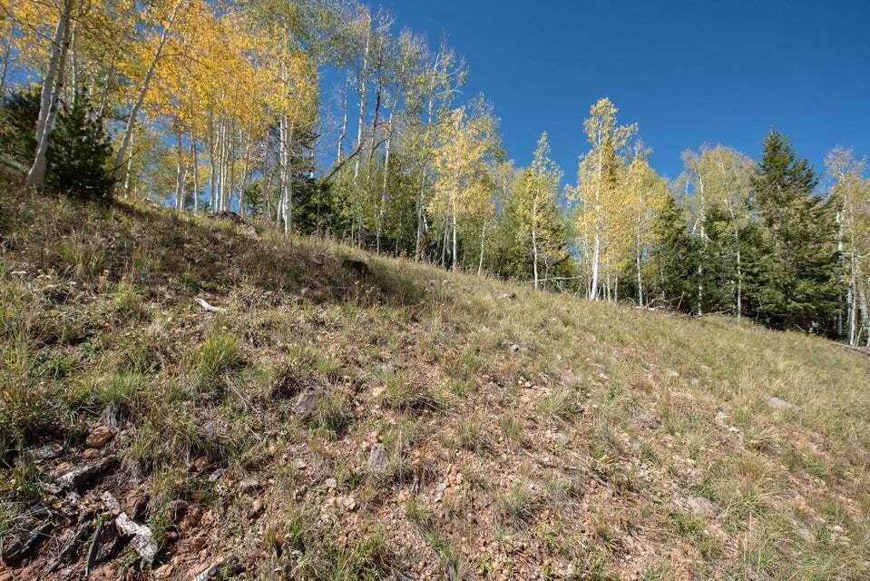 1430 N Aspen DR, Brian Head, photo 7 of 25
