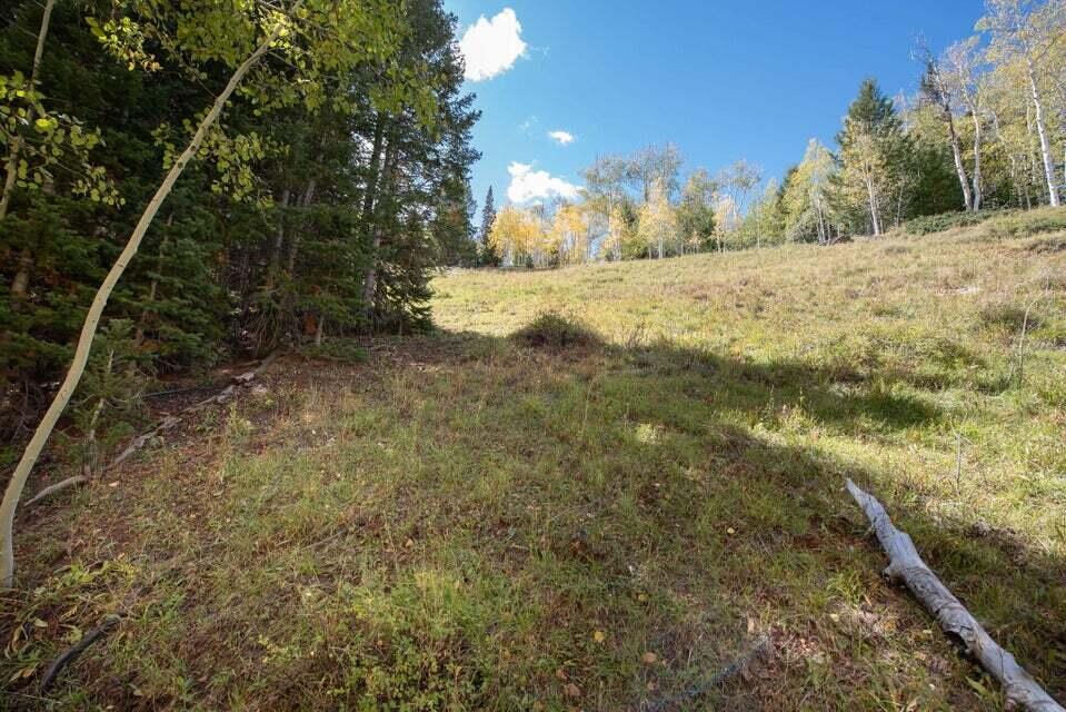 1430 N Aspen DR, Brian Head, photo 8 of 25