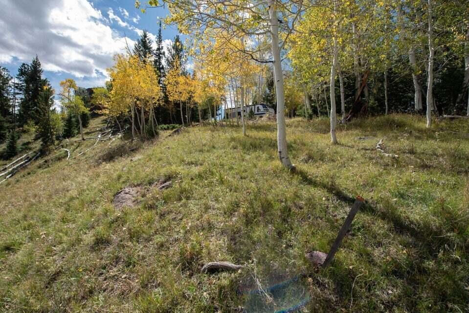 1430 N Aspen DR, Brian Head, photo 12 of 25