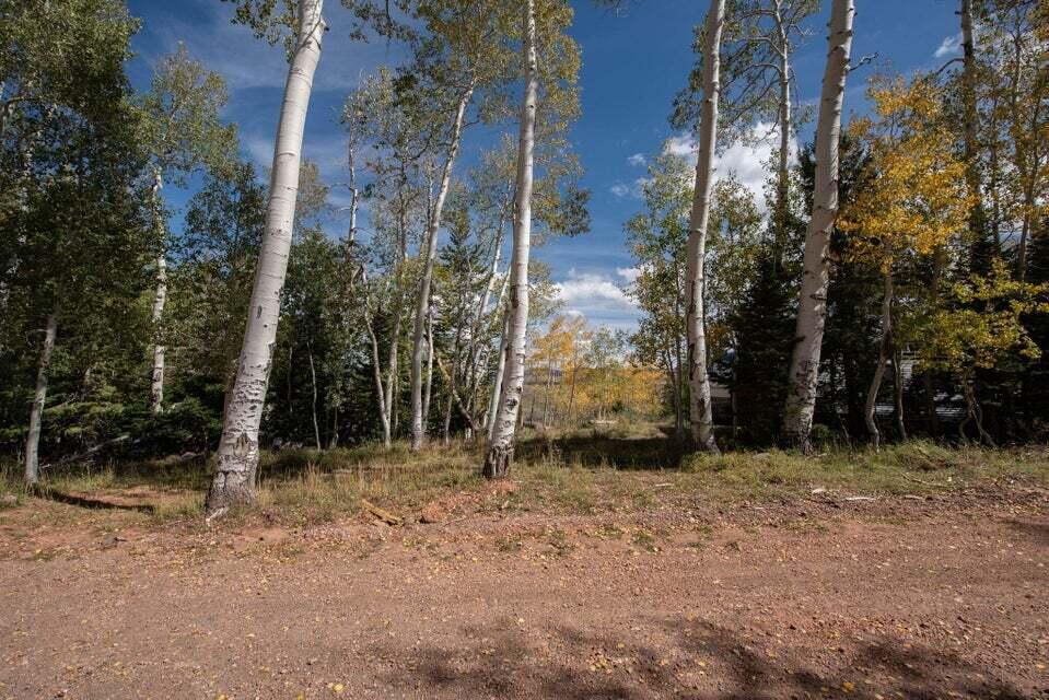 1430 N Aspen DR, Brian Head, photo 14 of 25